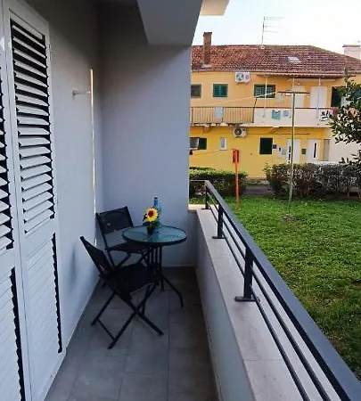 Smokva Zadar